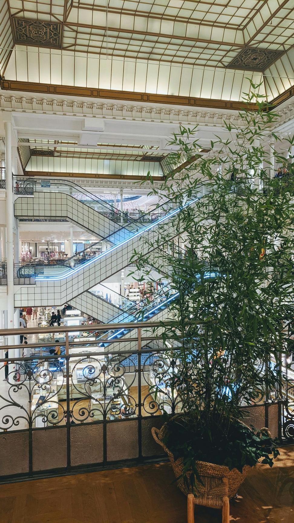 GreenMarket Plaza